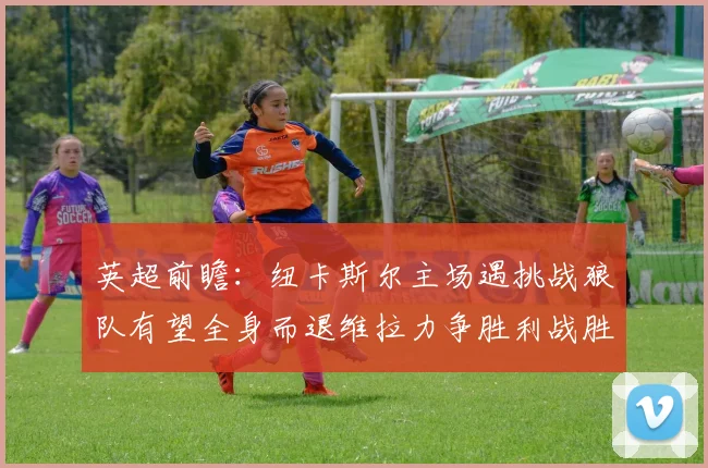 英超前瞻：纽卡斯尔主场遇挑战狼队有望全身而退维拉力争胜利战胜埃弗顿
